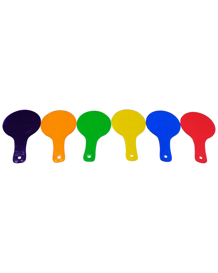 Set de 6 Paletas de Colores Acrílicas