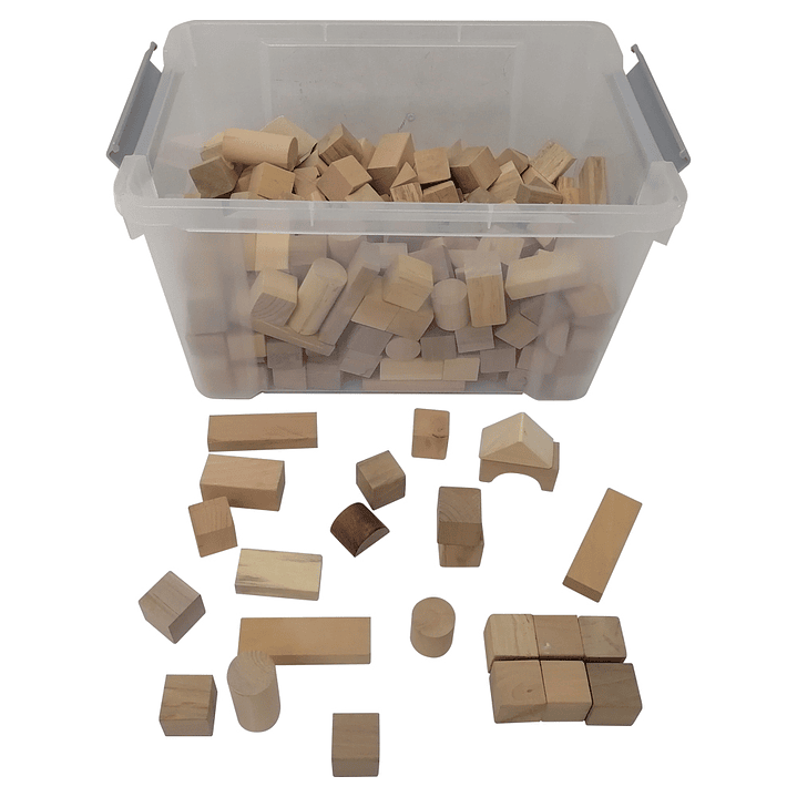 Bloques Construcción de Madera en caja 250un 1