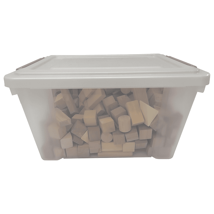 Bloques Construcción de Madera en caja 250un 4