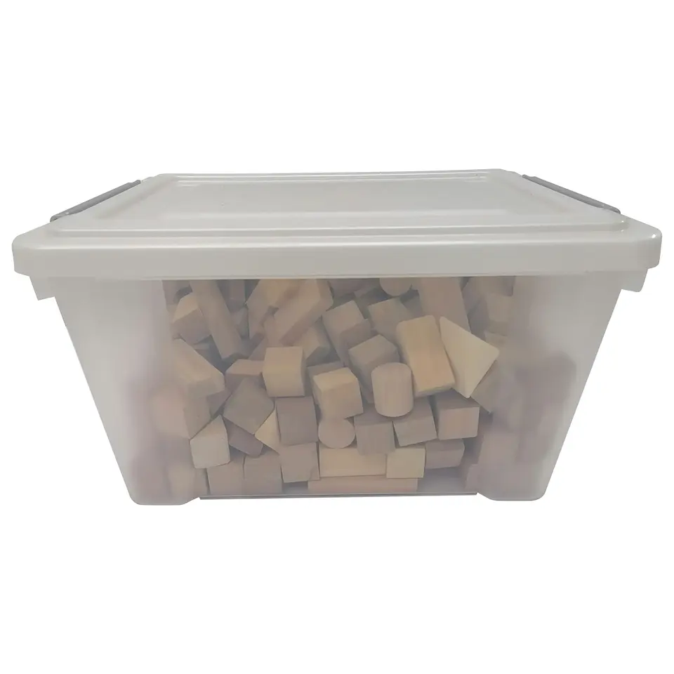 Bloques Construcción de Madera en caja 250un 4