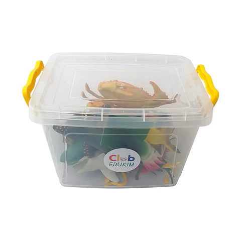 Animales de Mar Grandes en Caja