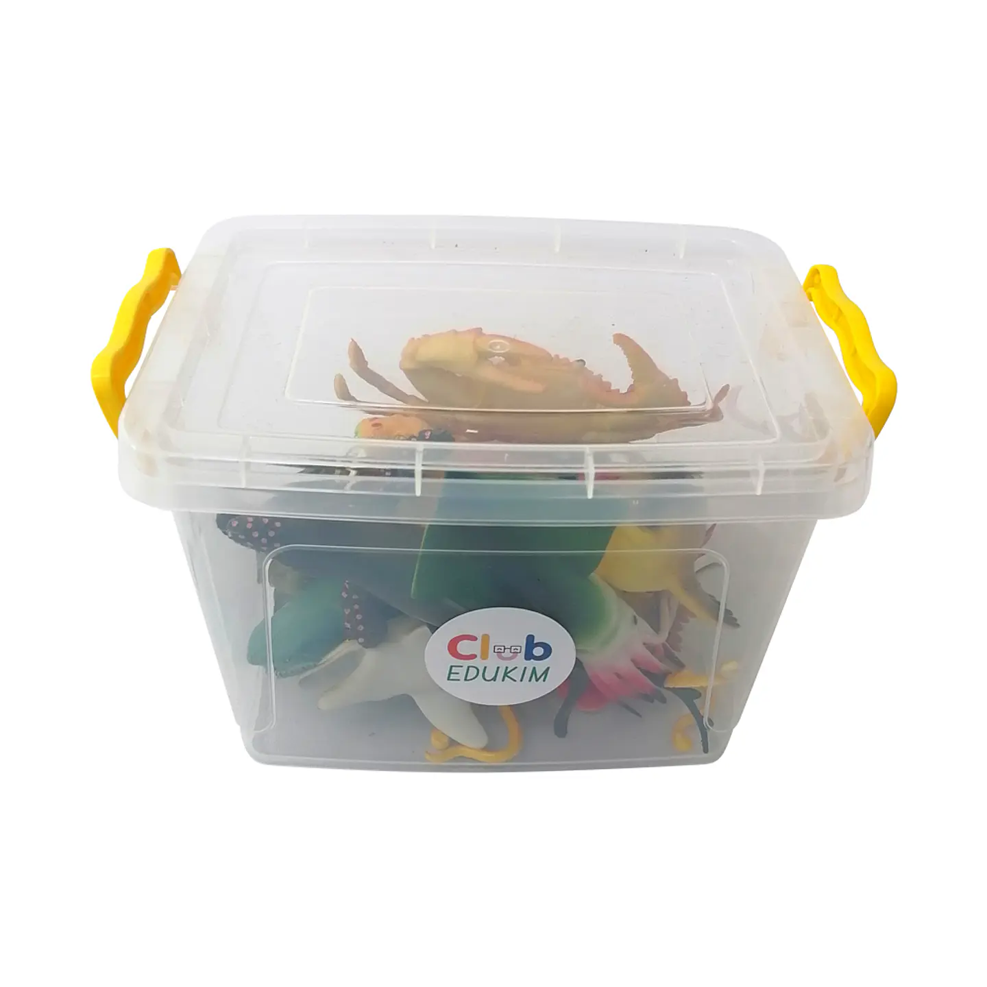 Animales de Mar Grandes en Caja 2