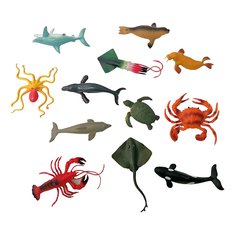 Animales de Mar Grandes en Caja