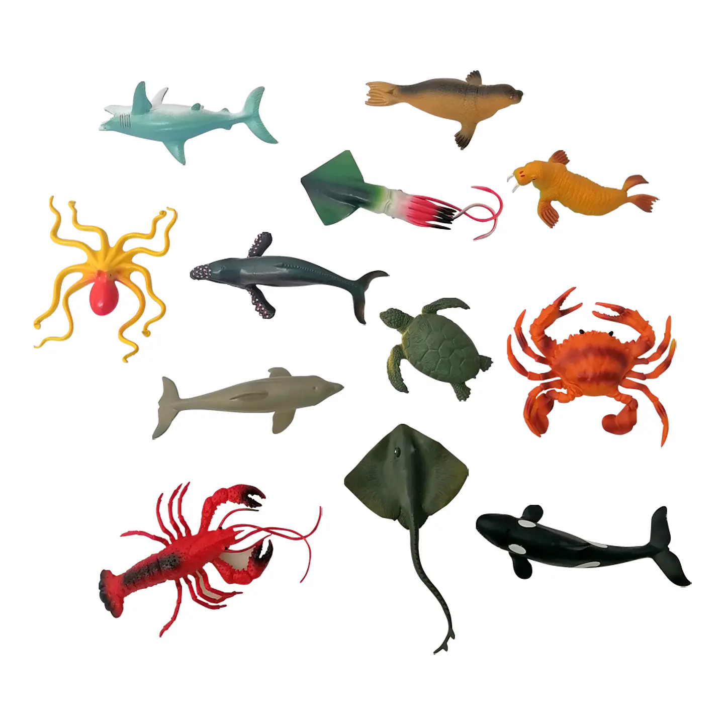 Animales de Mar Grandes en Caja 1