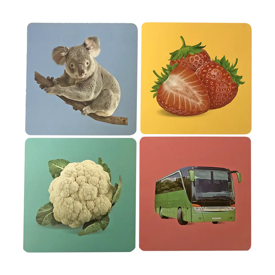 Tarjetas de Estimulación Visual 20 pcs 1