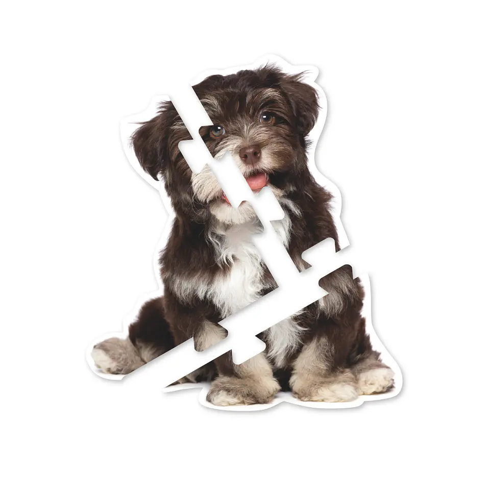Mega Puzzles Animales 4