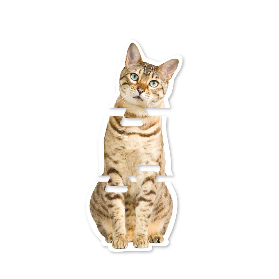 Mega Puzzles Animales 5