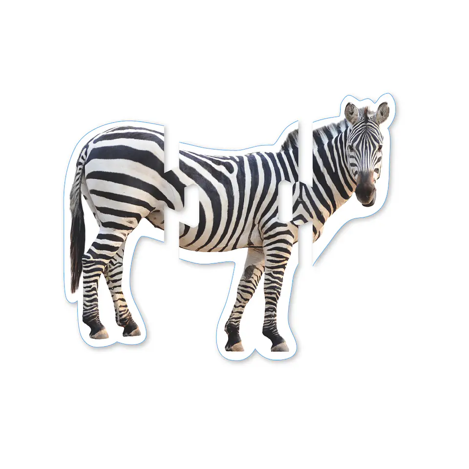 Mega Puzzles Animales 6