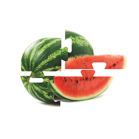 Mega Puzzles Alimentos
