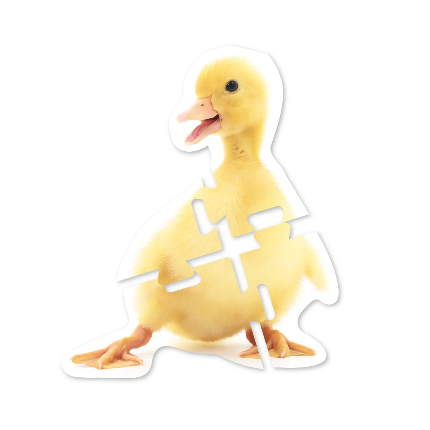 Mega Puzzles Animales 7