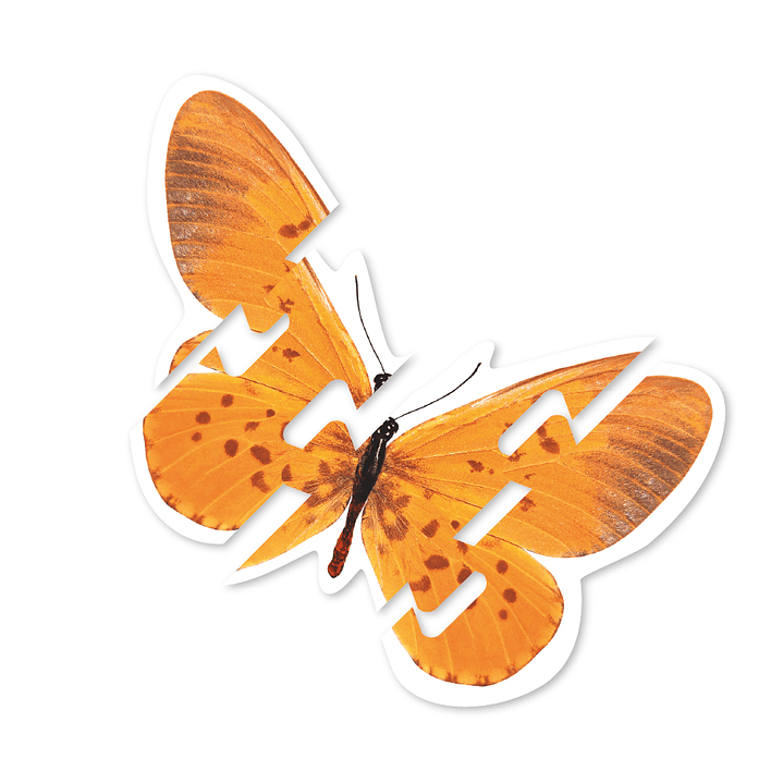 Mega Puzzles Animales 8