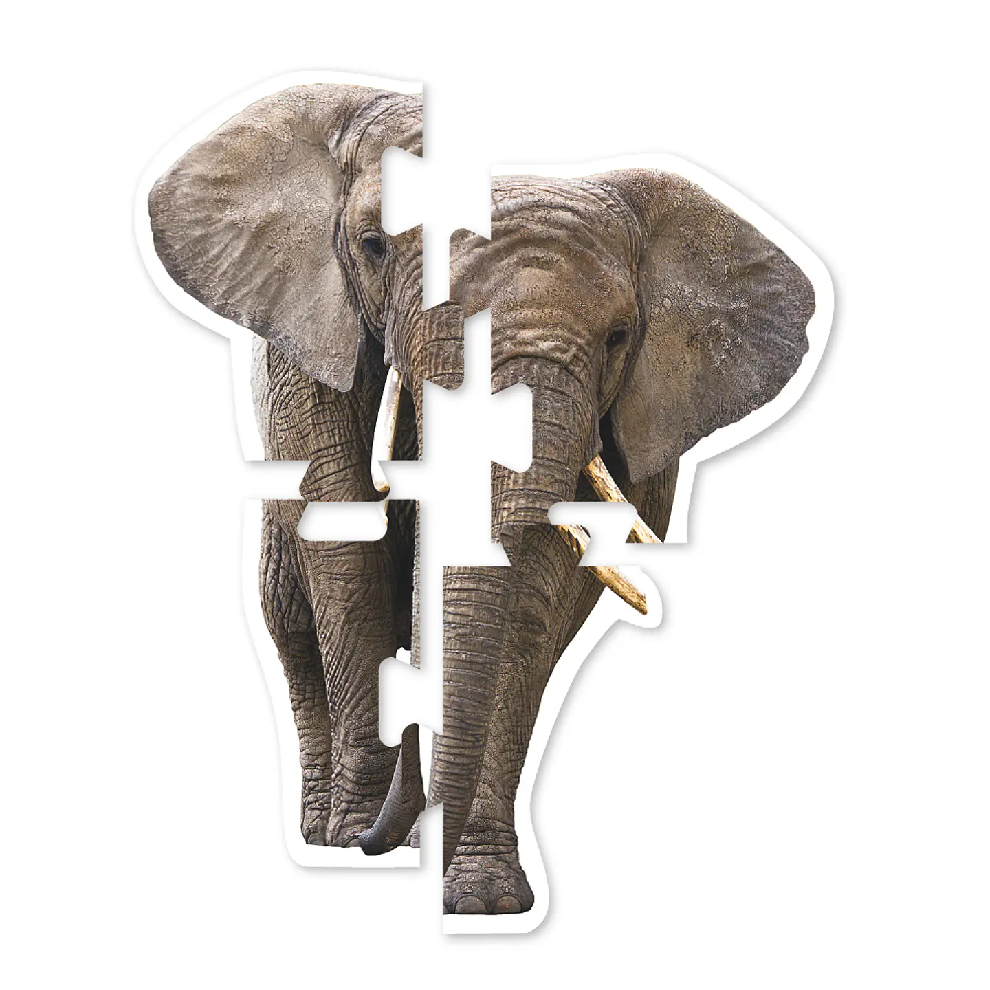 Mega Puzzles Animales 10