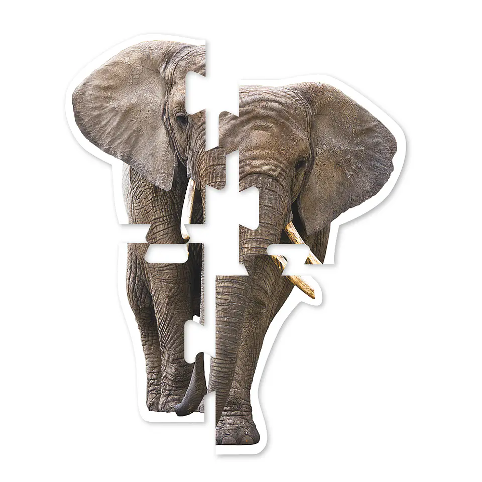 Mega Puzzles Animales 10