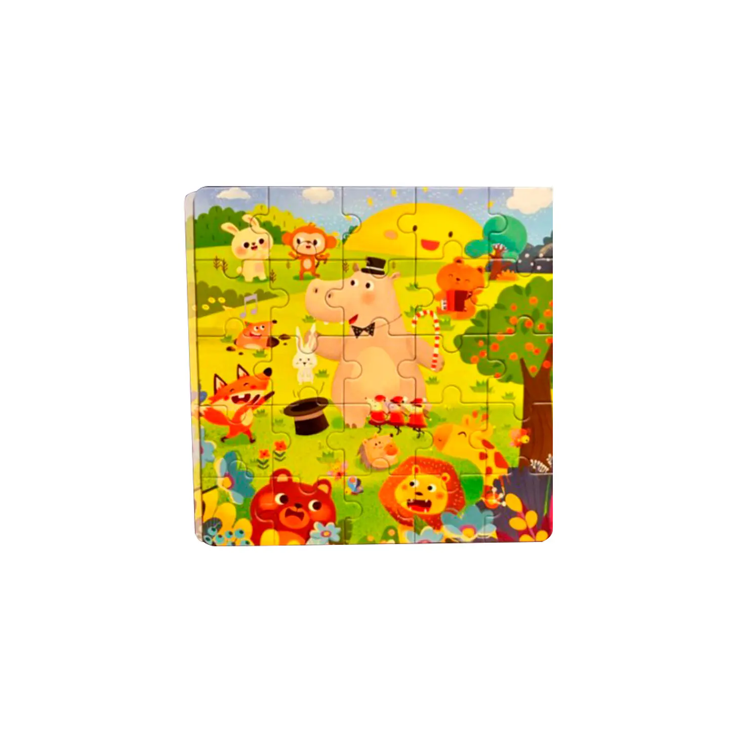 Set de 3 Puzzles Magnéticos 3