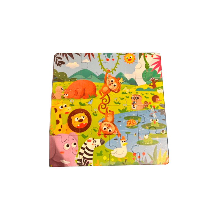 Set de 3 Puzzles Magnéticos 4