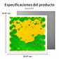 Edukim Discovery Floor  - Miniatura 3