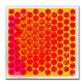 Edukim Discovery Floor  - Miniatura 5