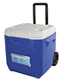 Cooler 45QT Coleman