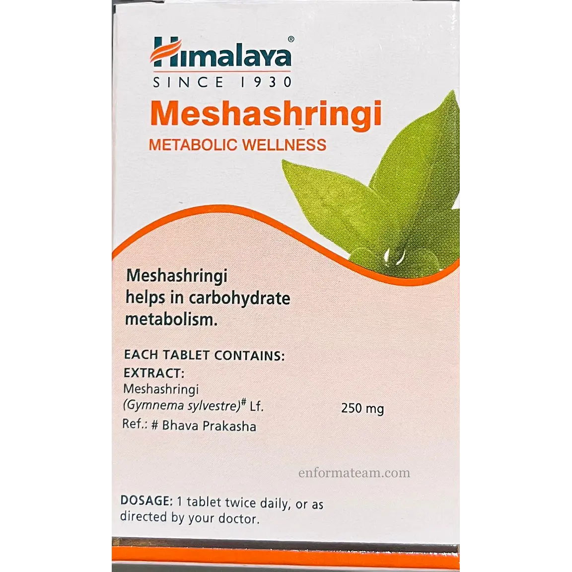Meshashringi 3