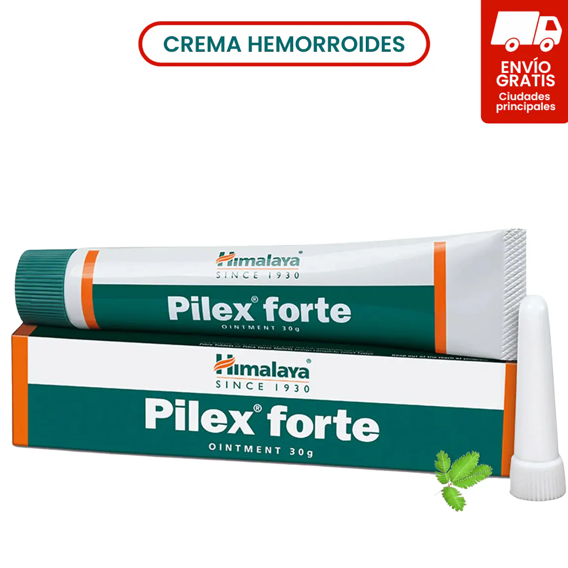 Pilex Ungüento 1
