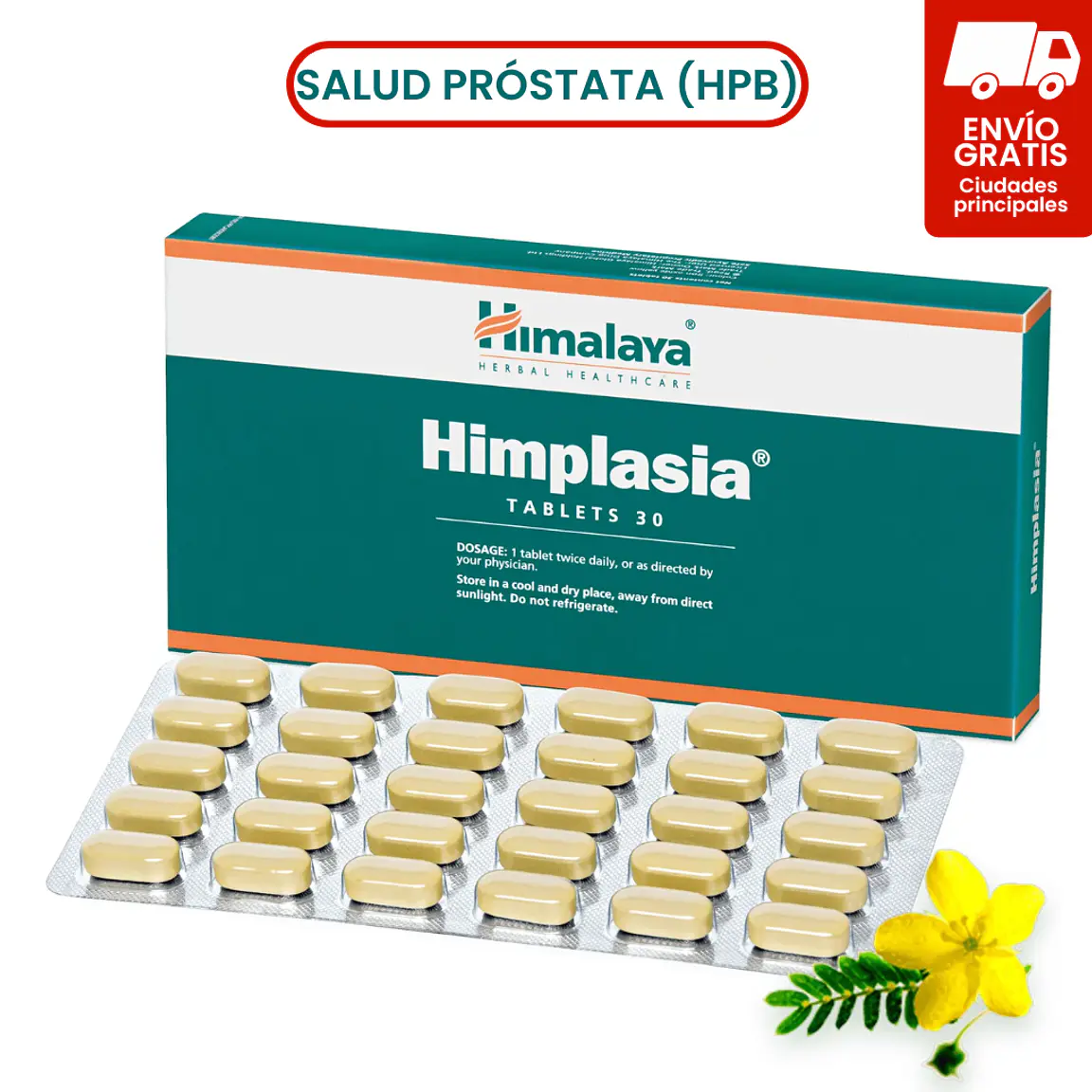 Himplasia 1