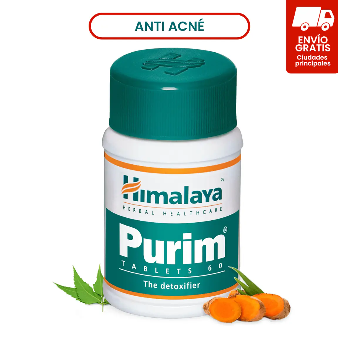 Purim | 60 tabs 1