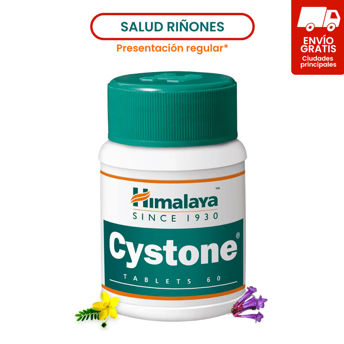 Cystone 1