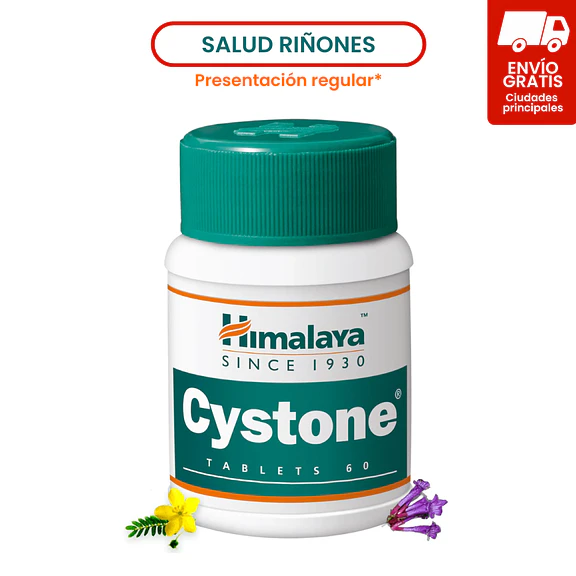 Cystone 1