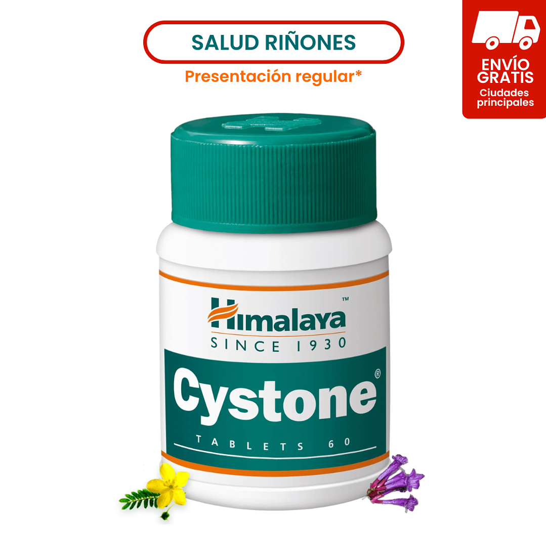 Cystone 1