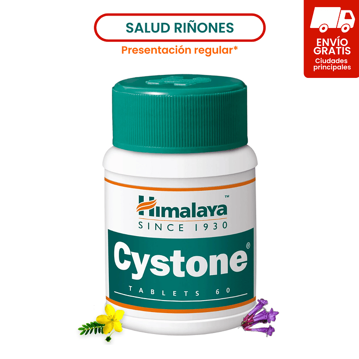 Cystone 1