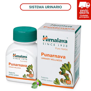 Punarnava | 60 tabs