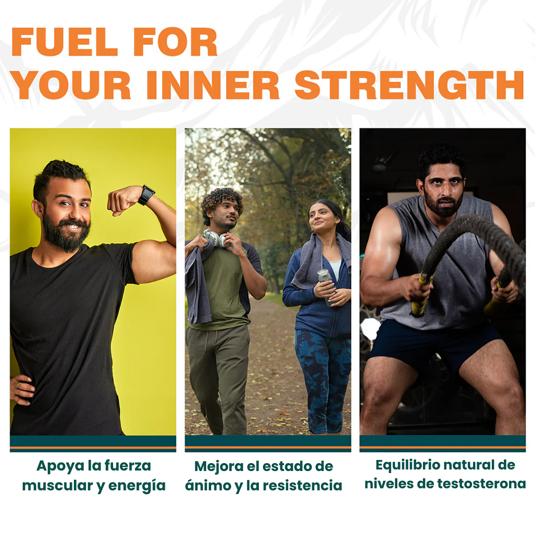 Shilajit 500mg | 60 Caps 3