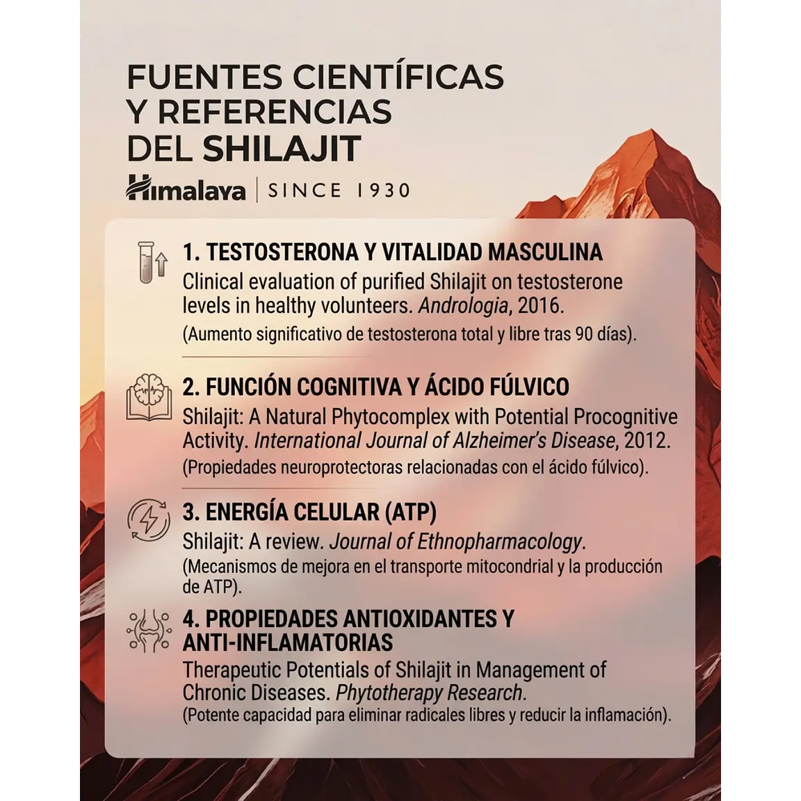 Shilajit 500mg | 60 Caps 4