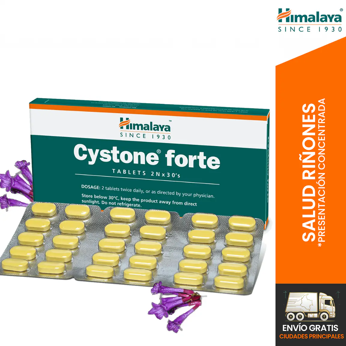 Cystone Forte  1