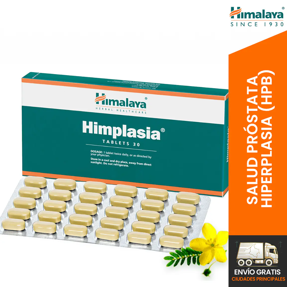 Himplasia 1