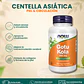 Gotu Kola 450mg | 100 caps - Miniatura 3