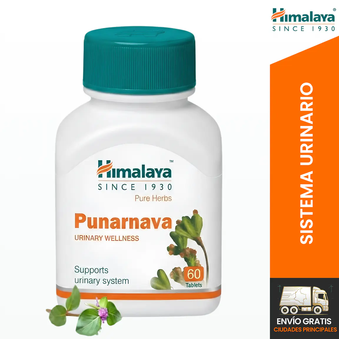Punarnava | 60 tabs 1