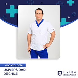 Polera Universidad Chile Odontologia 