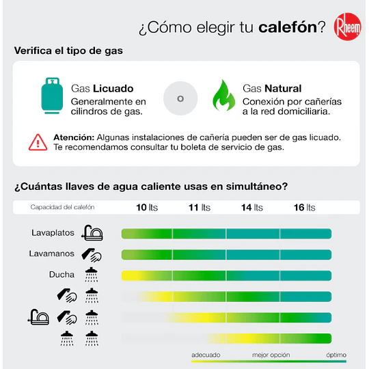 Calefont Rheem 10 litros Tiro Natural (Gas licuado)