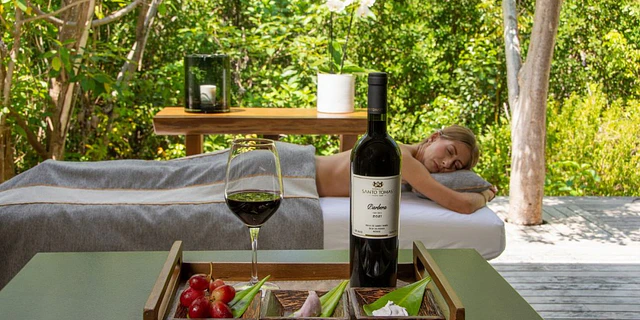 Hotelería y Wellness