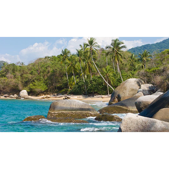 5 días / 4 noches - Parque nacional Tayrona - Colombia desde 