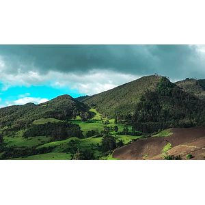 5 días / 4 noches Eje Cafetero - Colombia desde 
