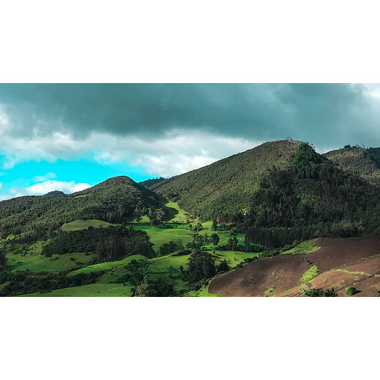 5 días / 4 noches Eje Cafetero - Colombia desde 