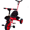 Triciclo Infantil Bicicleta Bunzi Dual