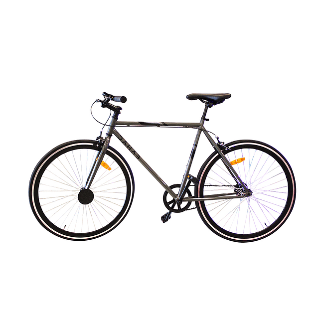 Bicicleta Urbana 54cm Dahab / Verde