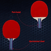 Paletas Ping Pong Set 3 Pelotas Tenis Mesa 