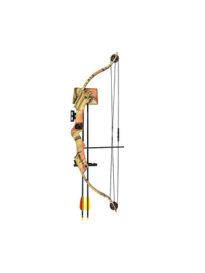 Ballesta Arco Compuesto Caza 17-21 Lbs Caesar Plaza + 2 Flechas