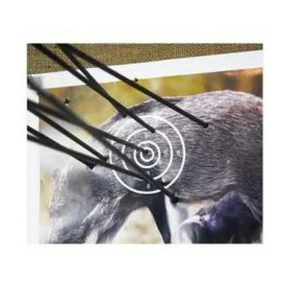 Target Papel De Tiro Al Blanco Jabali 44Cm X 44Cm Practica 5