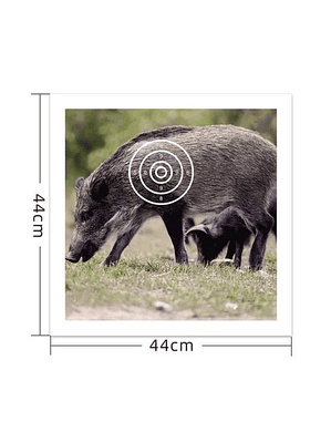 Target Papel De Tiro Al Blanco Jabali 44Cm X 44Cm Practica