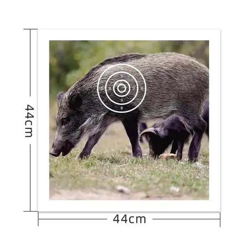 Target Papel De Tiro Al Blanco Jabali 44Cm X 44Cm Practica 2
